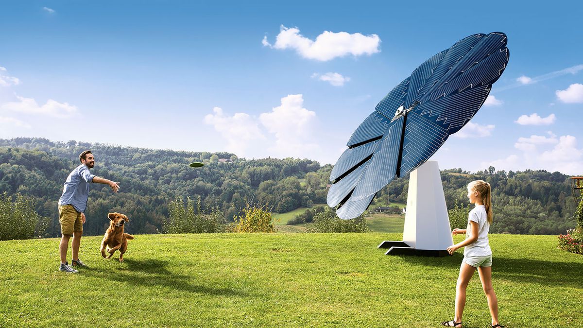 Panele słoneczne na wzór słoneczników. Zbierają więcej energii słonecznej 1