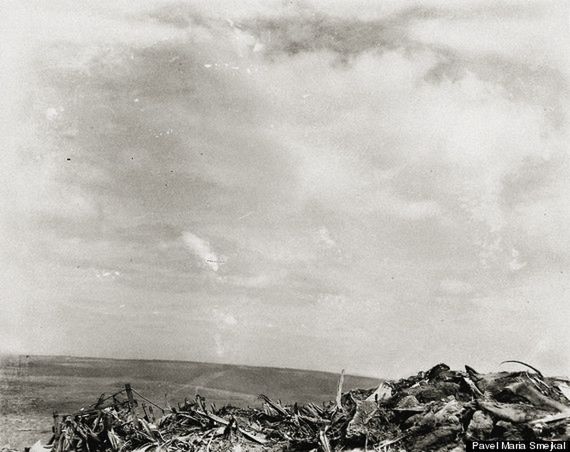 Najważniejsze zdjęcia w historii bez ludzi [galeria] 5