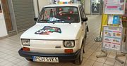 Maluszek z Chodzieży wystawiony na WOŚP