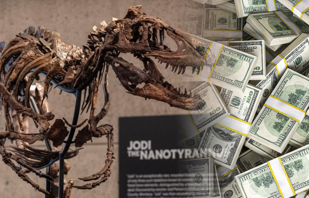 12 minut wystarczyło. Szkielet dinozaura sprzedany za fortunę