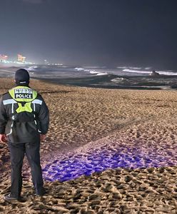 Będą kolejne wstrząsy. Kataklizm w Japonii