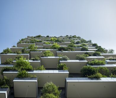 Katowice. Nasz mały skrawek zieleni, teraz możemy się nim pochwalić