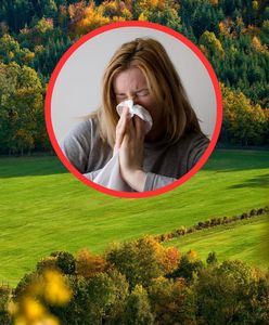 Kalendarz pylenia 2023. Na co alergicy powinni uważać we wrześniu?