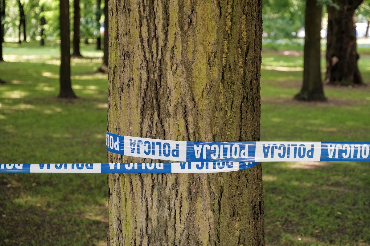 W Parku Praskim zgwałcono i zamordowano kobietę. Zdjęcie ilustracyjne