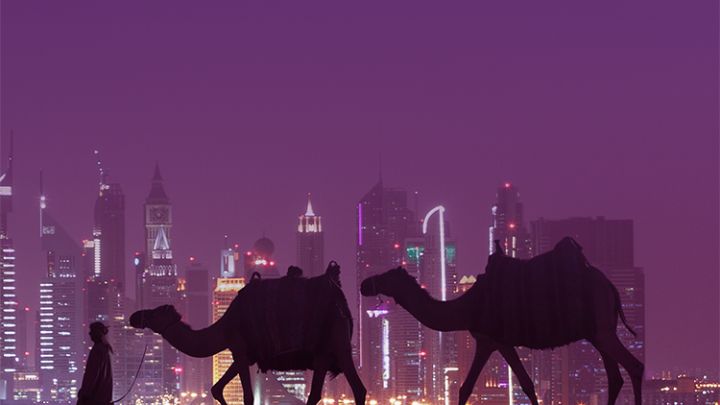 Guides by Lonely Planet 6
