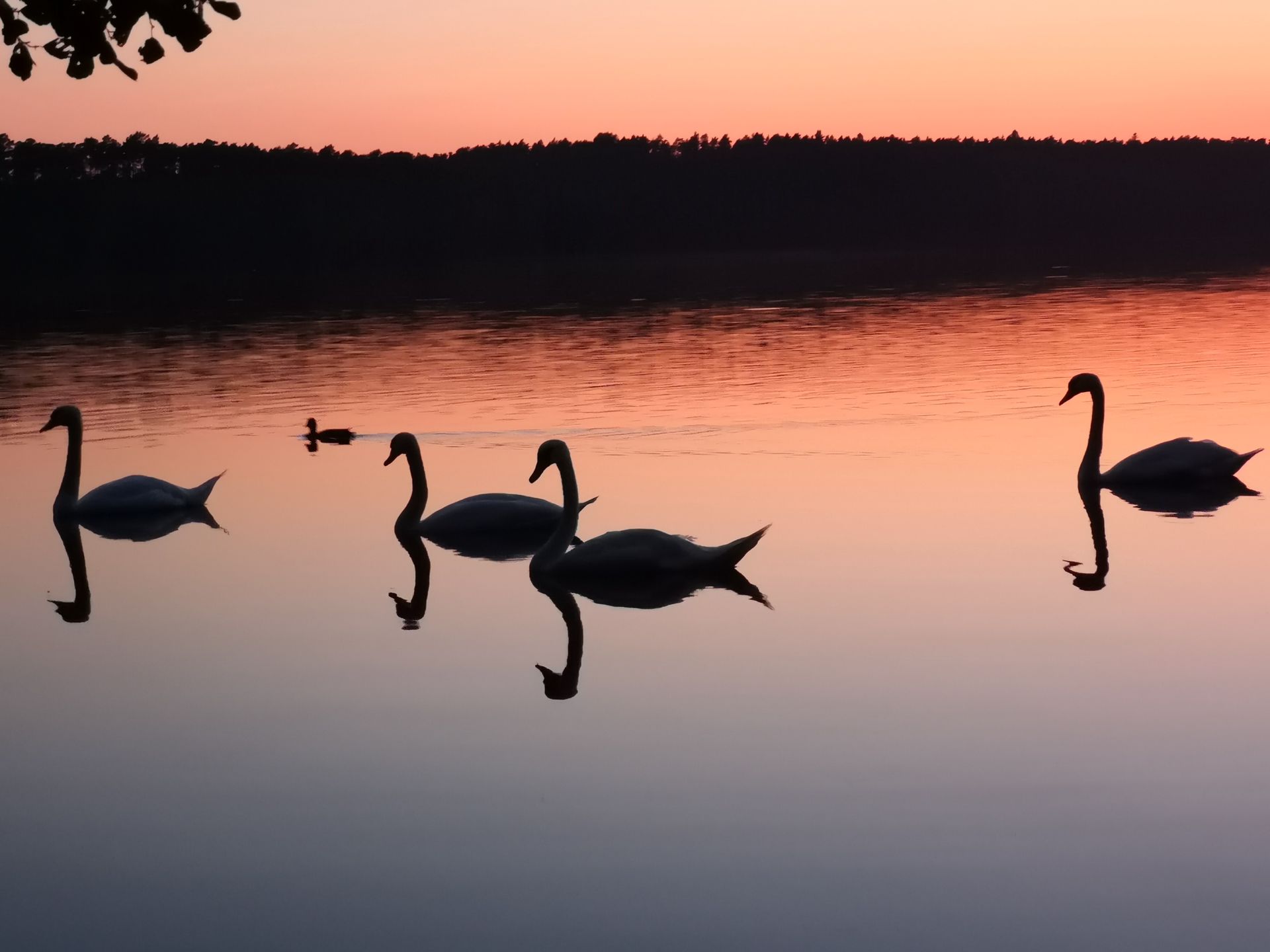 Trudno o bliższy kontakt z naturą