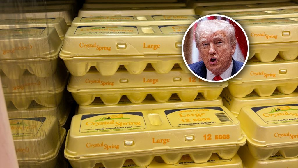 Trump komentuje ceny jaj. Oto ile trzeba zapłacić w sklepach