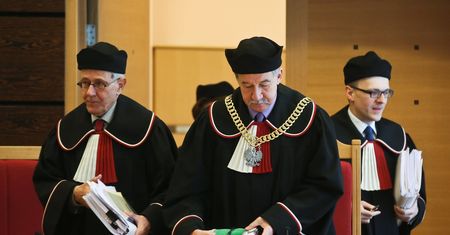 Wycinka drzew na prywatnych działkach niekonstytucyjna?