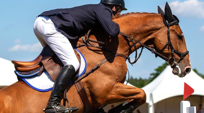 Jeździectwo: FEI Longines Jumping European Championship w A Coruni