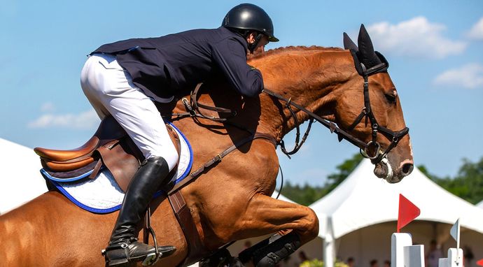 Jeździectwo: Royal Windsor Horse Show