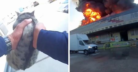 Pożar hali przy ul. Rembielińskiego w Płocku. Policjanci ewakuowali ludzi i zabezpieczyli teren! [VIDEO]