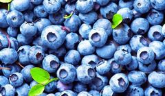 Będzie kampania promująca borówki