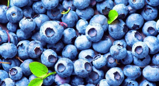 Będzie kampania promująca borówki