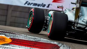 Mercedes spodziewa się większych problemów w GP Singapuru