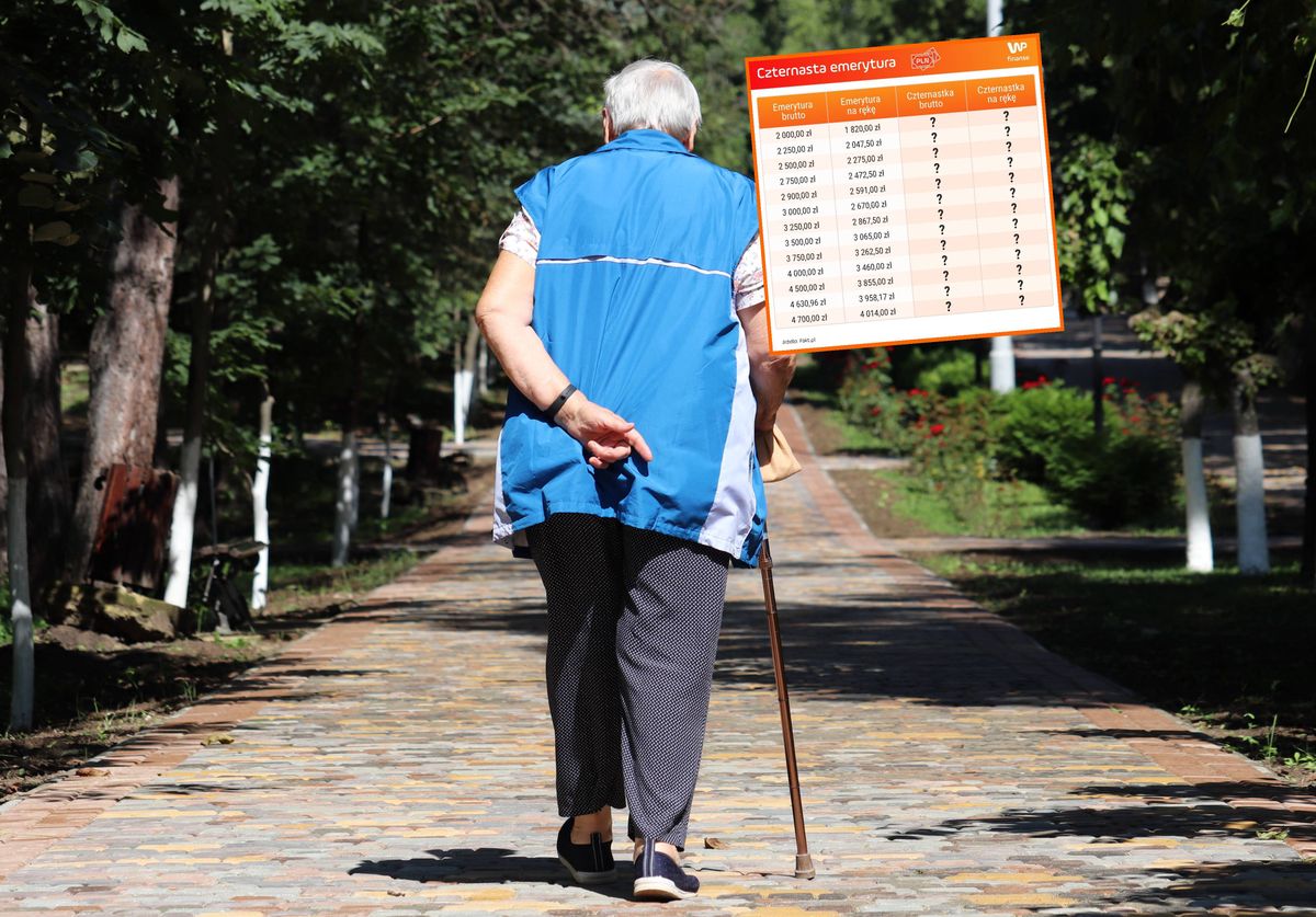 Niektórzy emeryci dostaną nawet 3,1 tys. zł