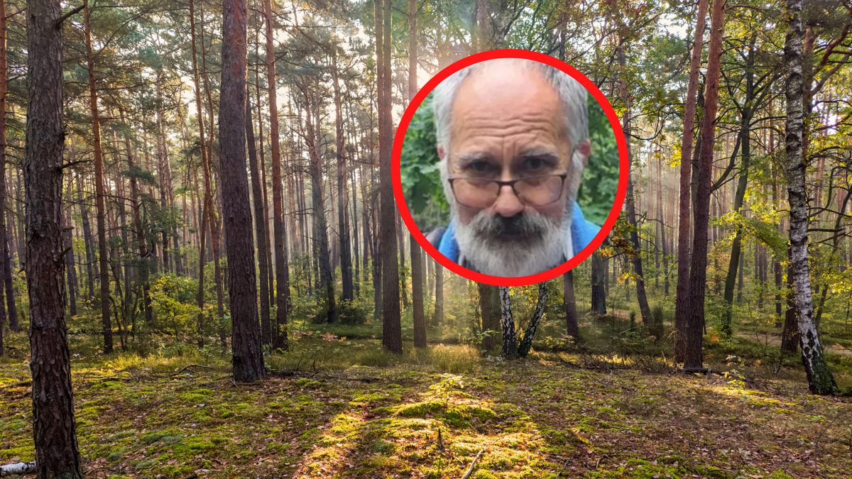 Koniec sezonu grzybowego? Ekspert odpowiada.