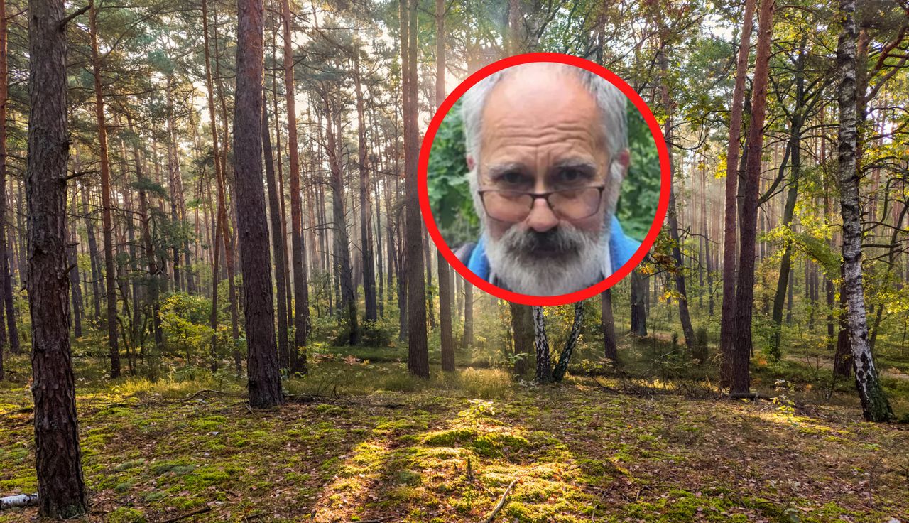 Polacy wracają z lasów i się skarżą. To koniec? Zapytaliśmy