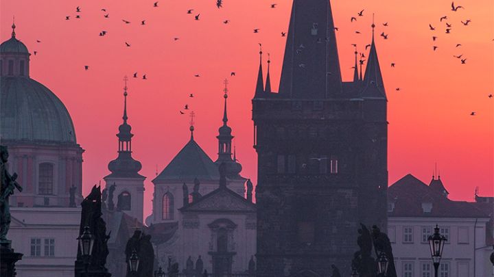 Guides by Lonely Planet 8