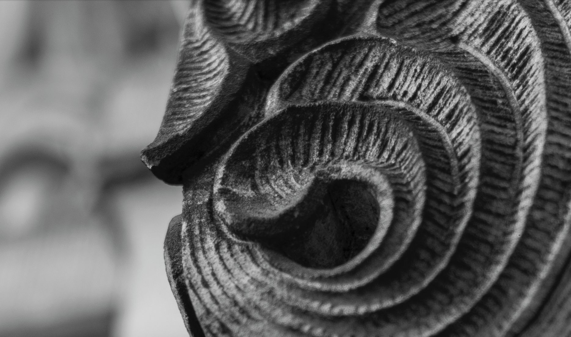 Niewielki może bardzo dużo! Voigtländer Nokton 50 mm f/1,5 29