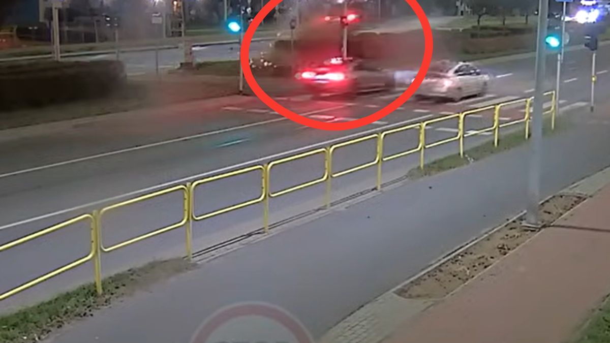 Audi przeleciało przez żywopłot