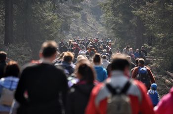 Rzesze turystów w górach. Wielogodzinne kolejki, parkingi od dawna pełne