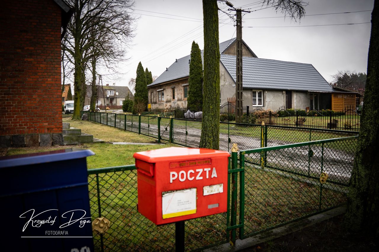 Makabryczne odkrycie po latach. Znaleziono ludzkie szczątki