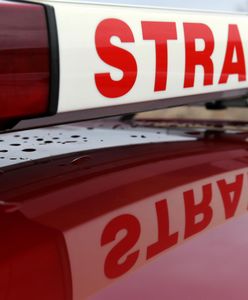 Zrecze Duże. Znaleziono ciała dwóch osób