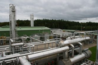 Spółka dnia: Słabe wyniki powodem spadku cen akcji?