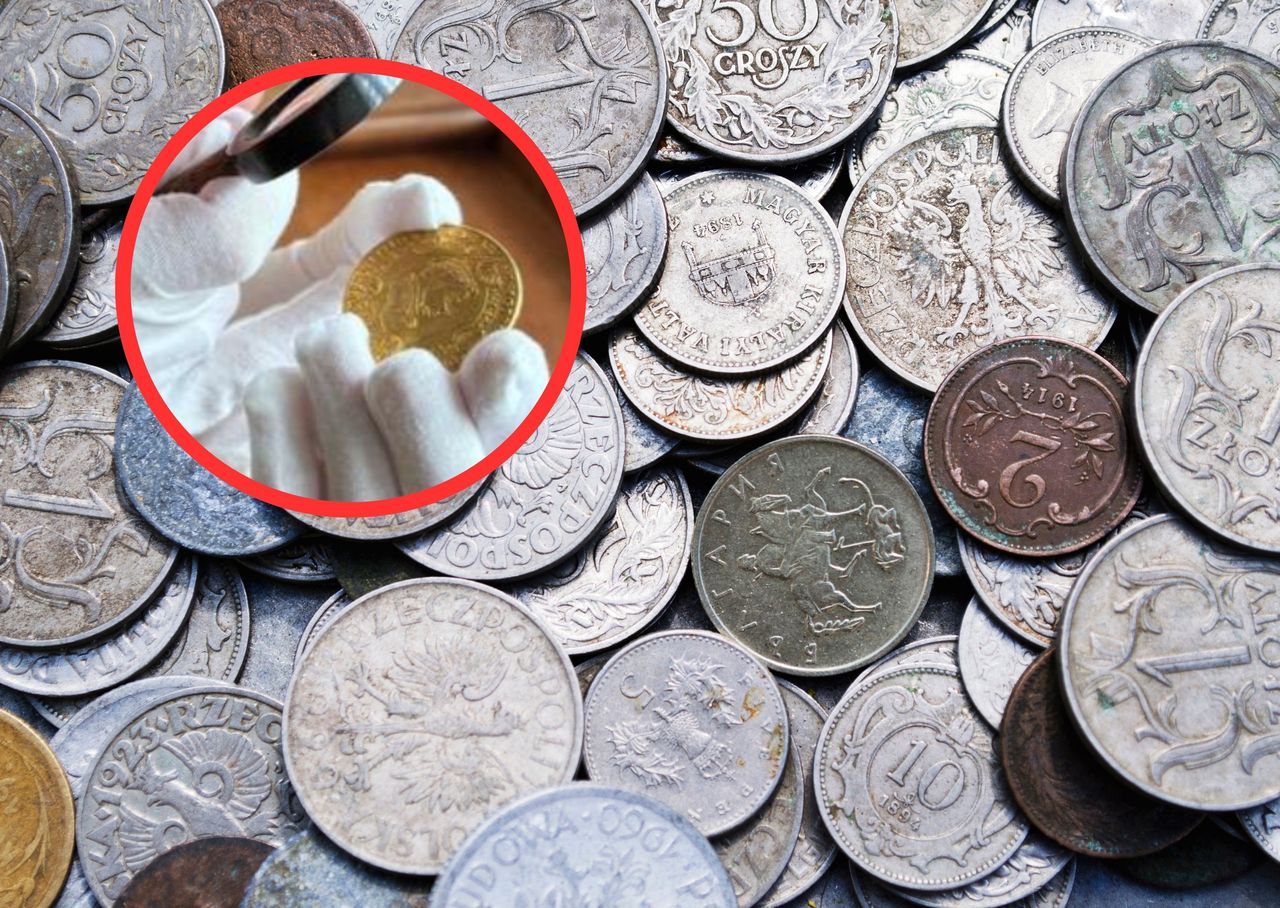 Niesamowite odkrycie Polek. Znalazły monetę, która jest warta miliony
