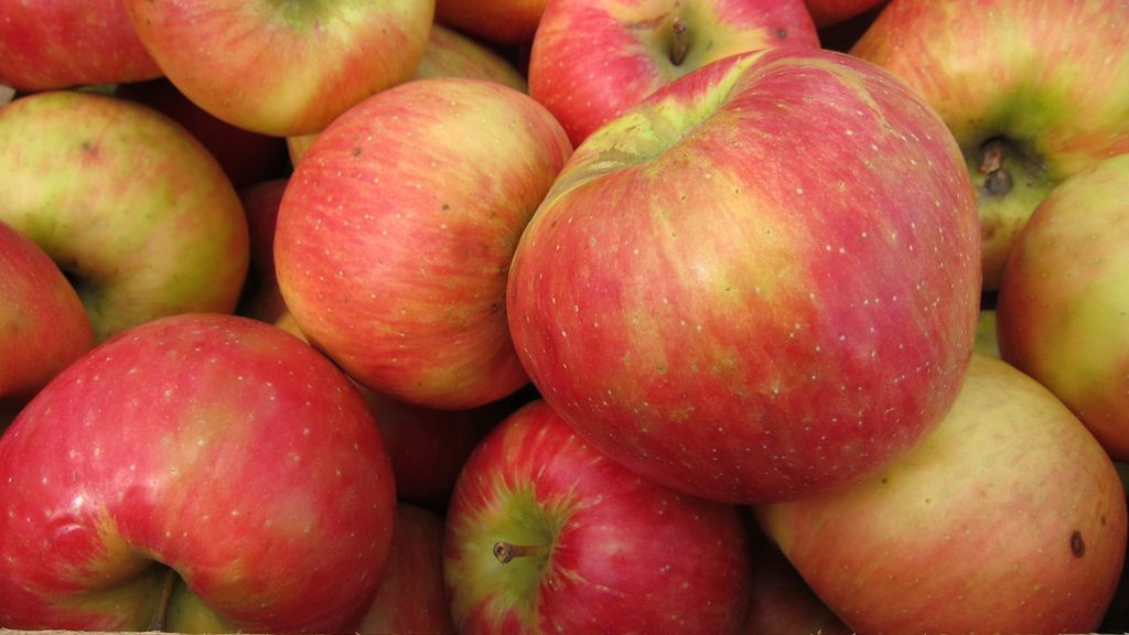 Surowe jabłka Gala ze skórką