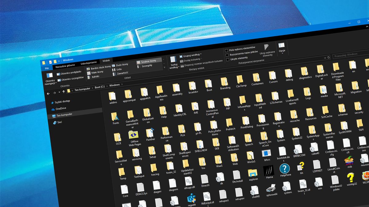 Wyszukiwarka w Eksploratorze Windows 10 powinna już działać bez zarzutu, fot. Oskar Ziomek