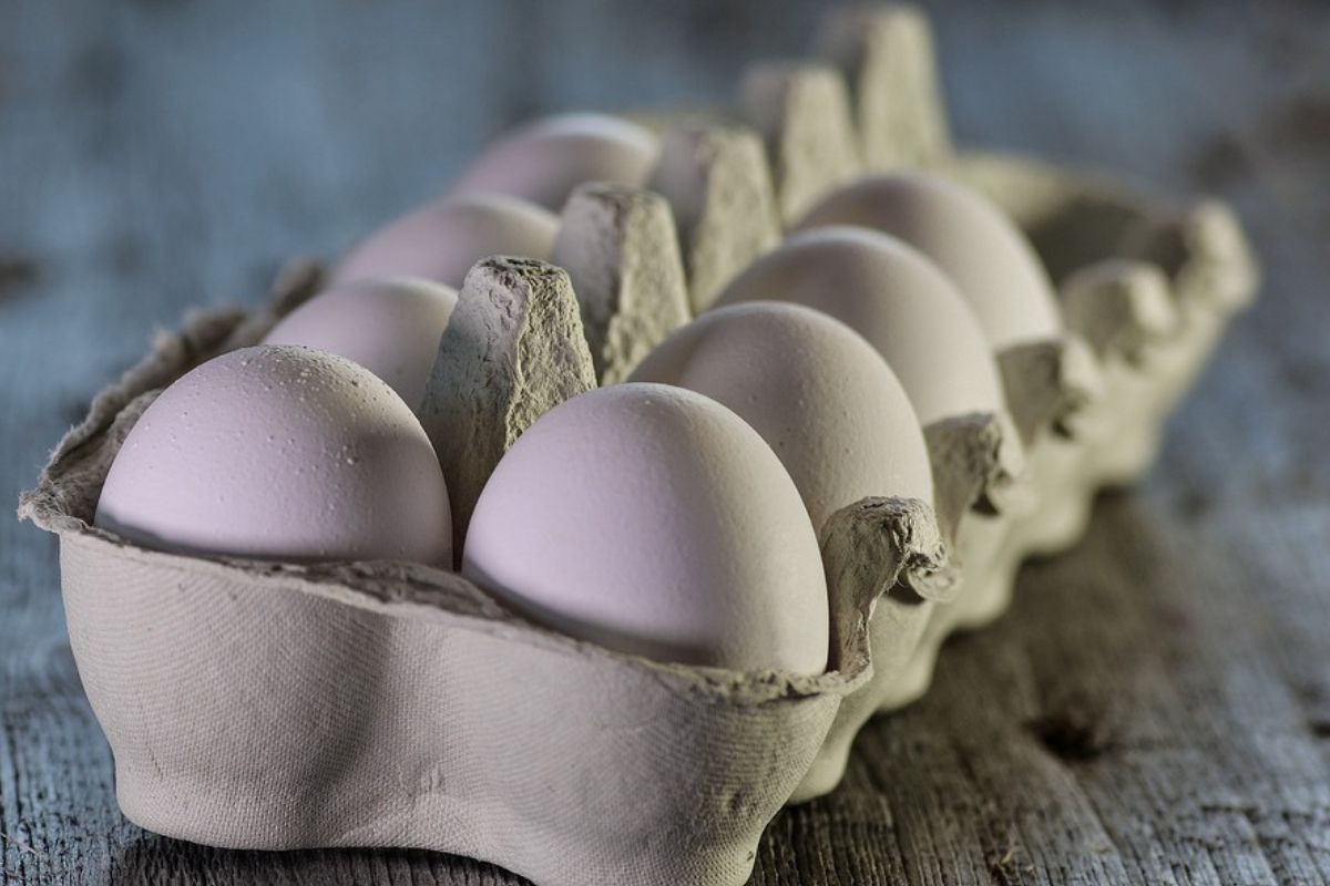 Jajka na miękko - czy warto włączyć je do diety?