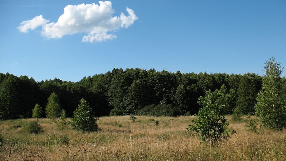 Kampinoski Park Narodowy