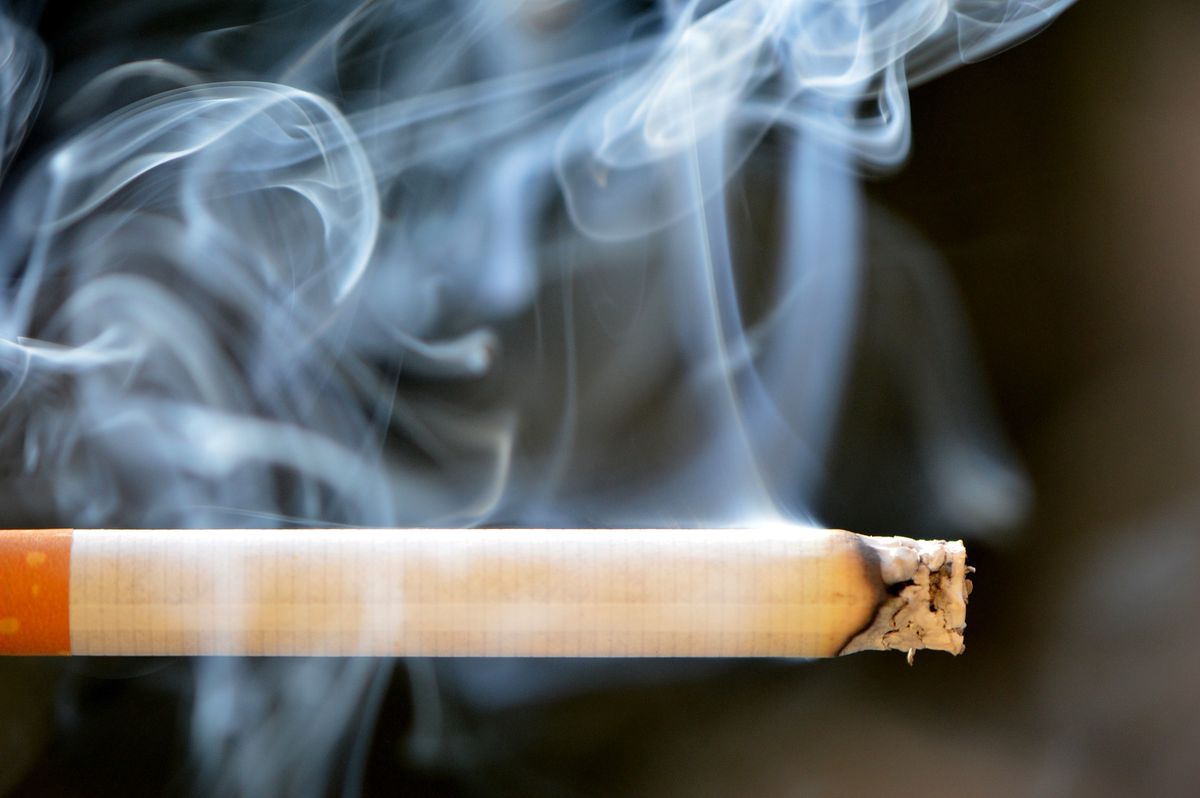 Mazowsze. Zlikwidowano fabrykę nielegalnych papierosów (fot. Pixabay)