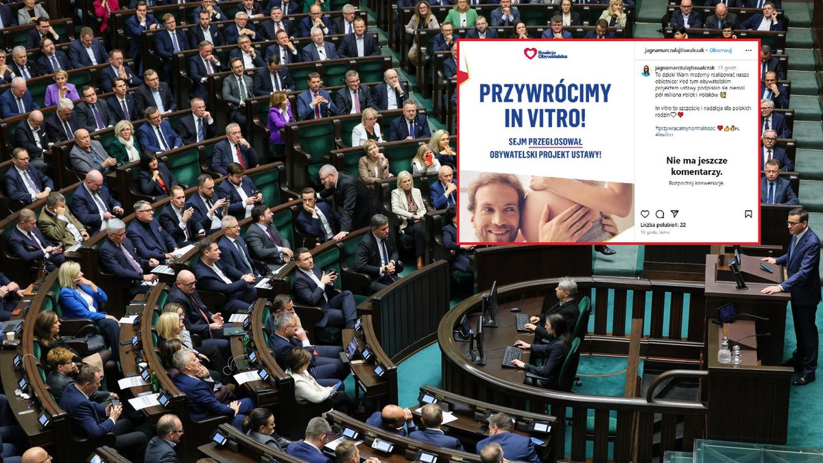 PAP / Paweł Supernak / Na zdjęciu: sejm przegłosował ustawę ws. in vitro
