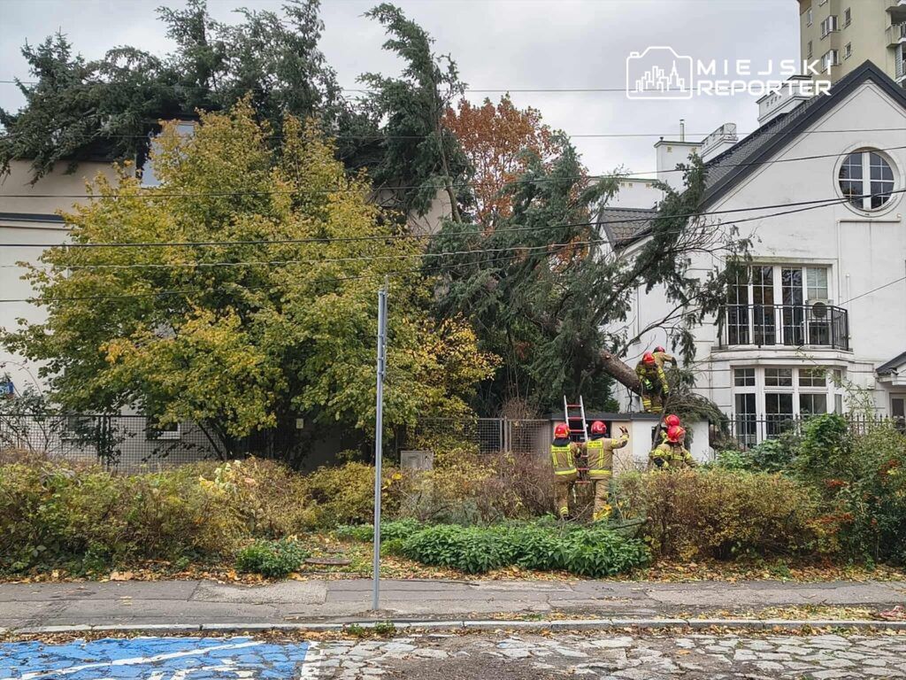 Strażacy usuwają przewrócone drzewo z dachu budynku w otoczeniu zieleni i zabudowy miejskiej.