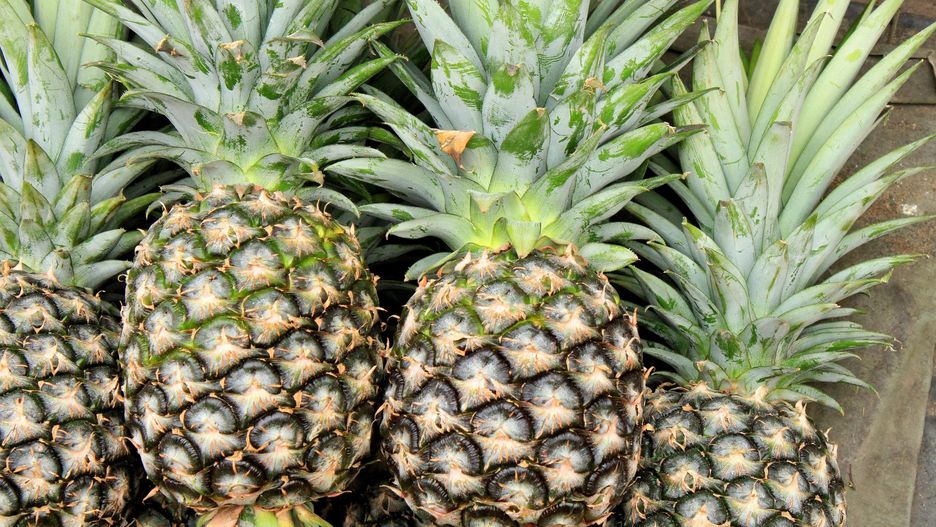 Ananas najmniej zanieczyszczonym pestycydami owocem