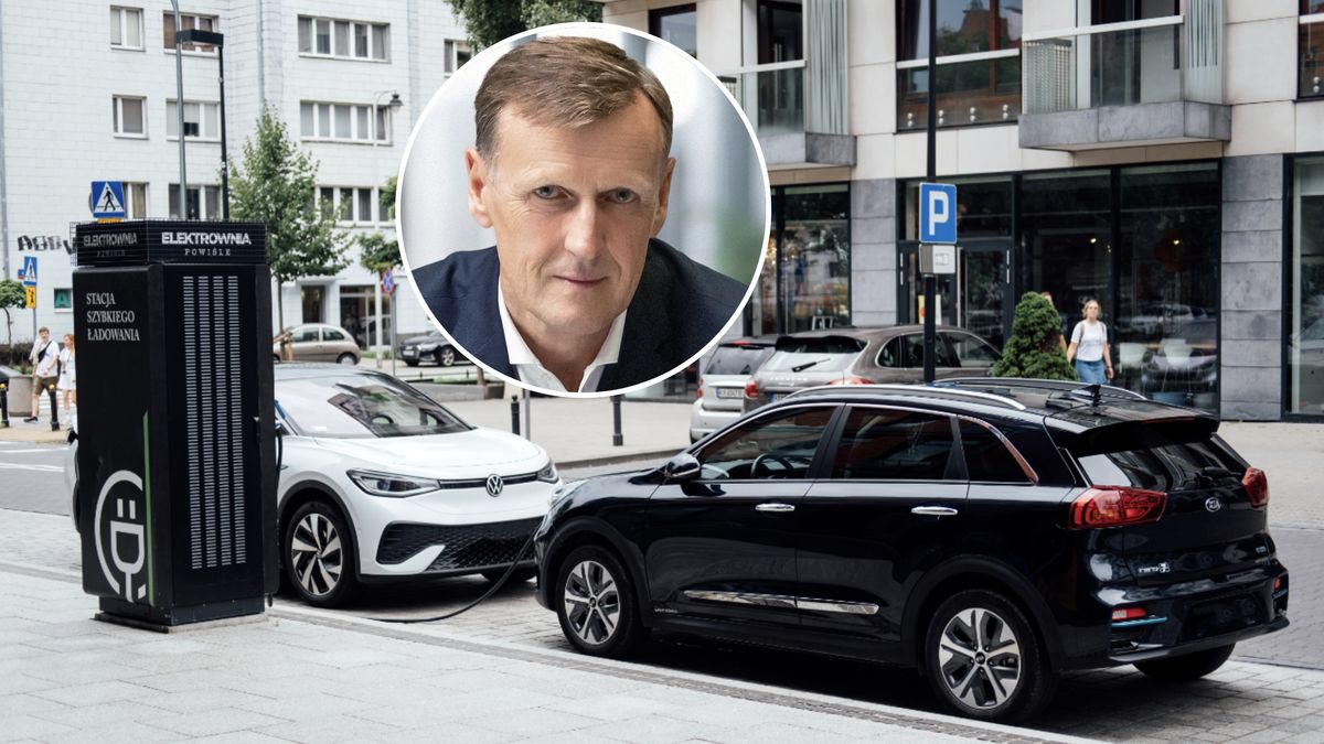 Rynek aut elektrycznych rośnie, ale nie tak szybko