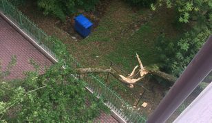 W czwartek mazowiecka straż pożarna odnotowała 1,5 tysięcy interwencji po burzach