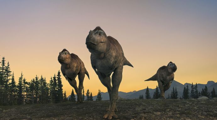 Wędrówki z dinozaurami