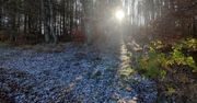 Pierwszy śnieg. Biały poranek na Pomorzu