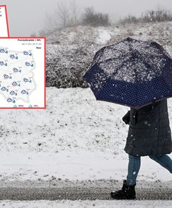 Zimny początek tygodnia. W prognozach gołoledź i silny wiatr