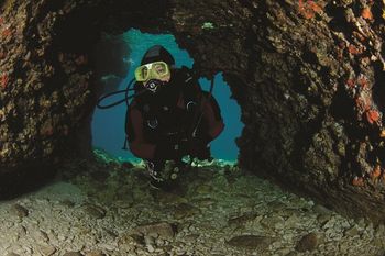 One też śpią. Mechanizm snu jest starszy niż przypuszczano