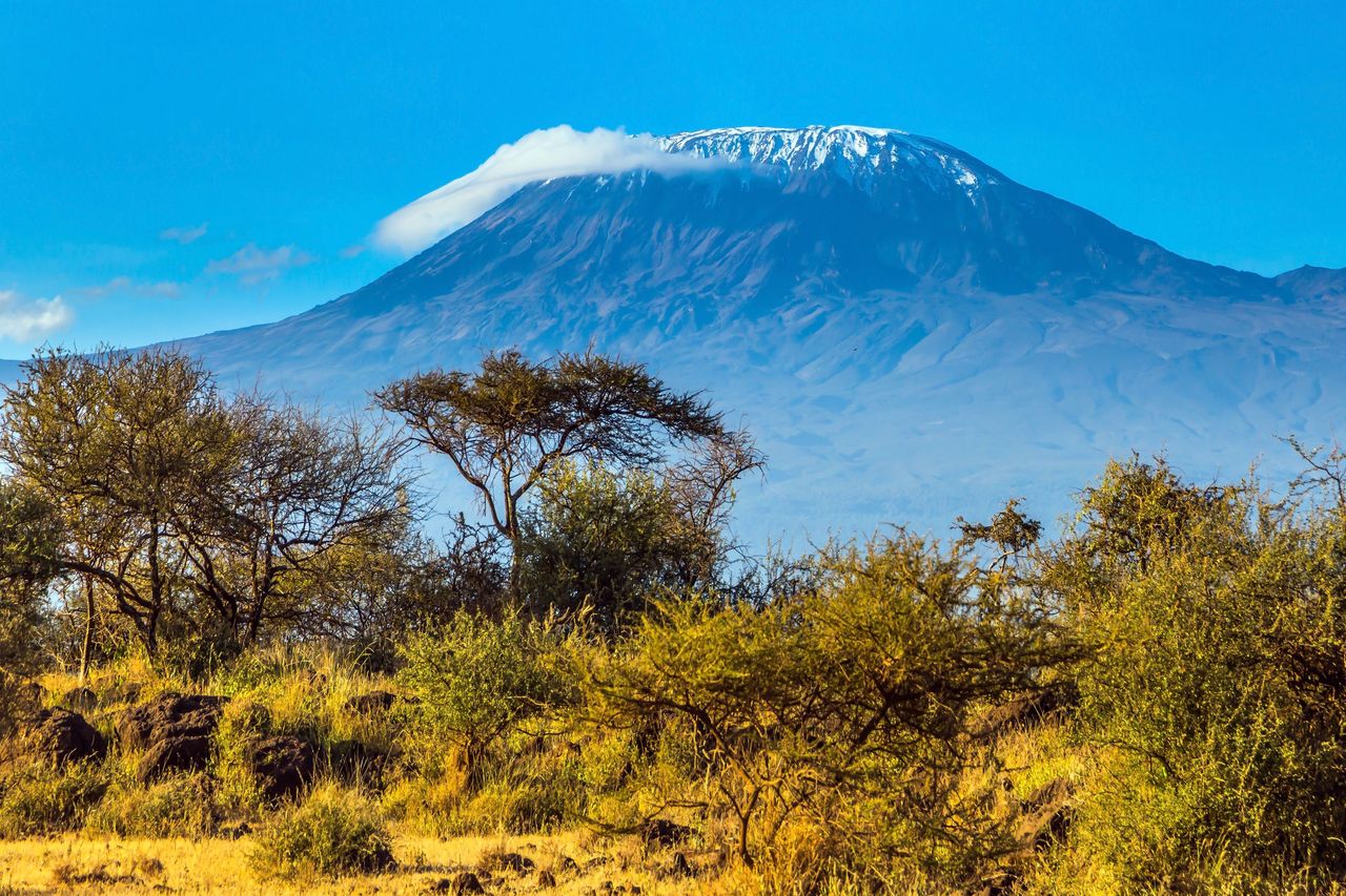 Tanzania. Palą się zbocza Kilimandżaro