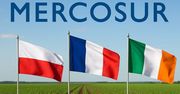 Mercosur upadnie? Polska, Francja i Irlandia blokującą mniejszością