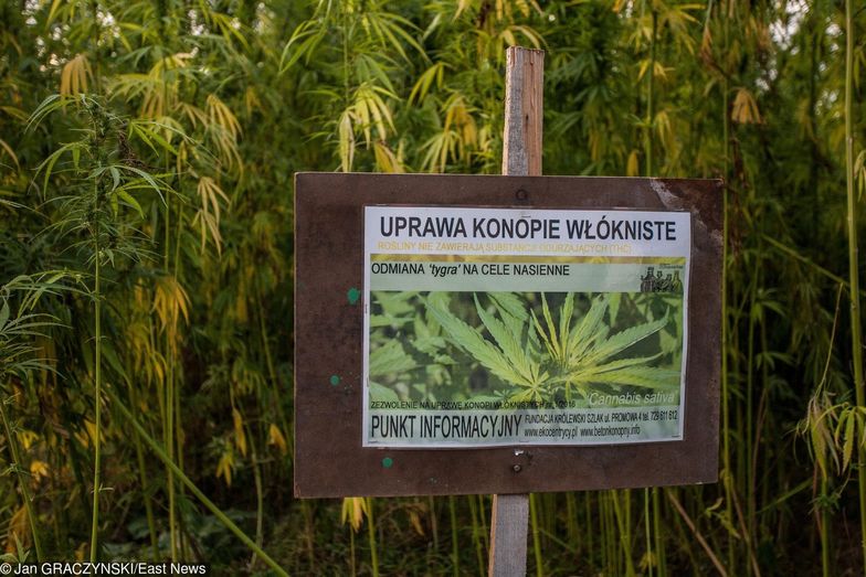 HemPoland stała się częścią globalnego holdingu