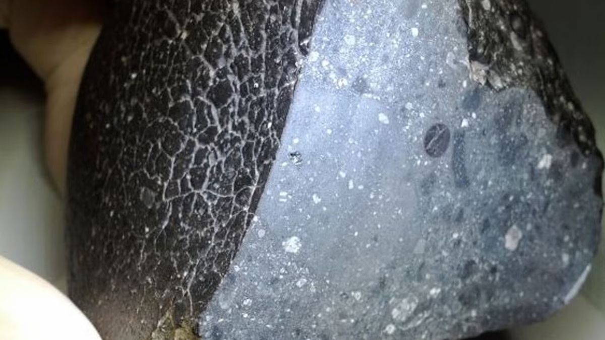 Meteoryt marsjański Black Beauty