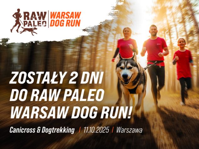 źródło: materiały partnera