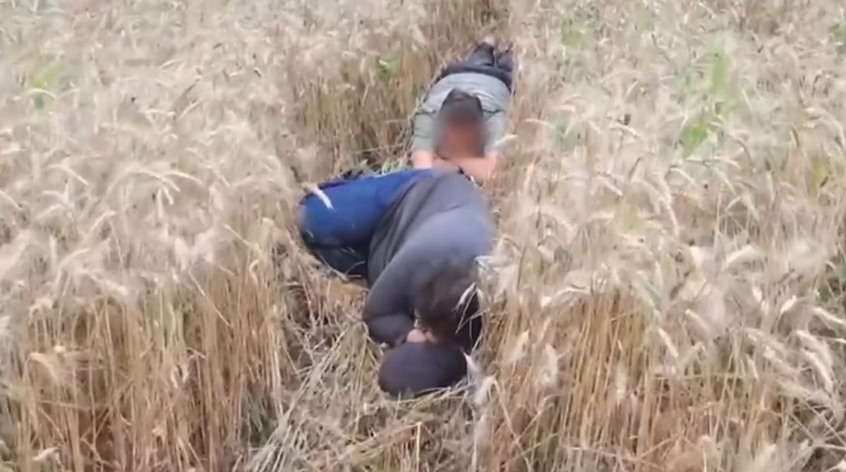 Young Ukrainians caught fleeing military service in wheat fields