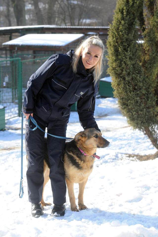 Policjantka ma pięć swoich psów